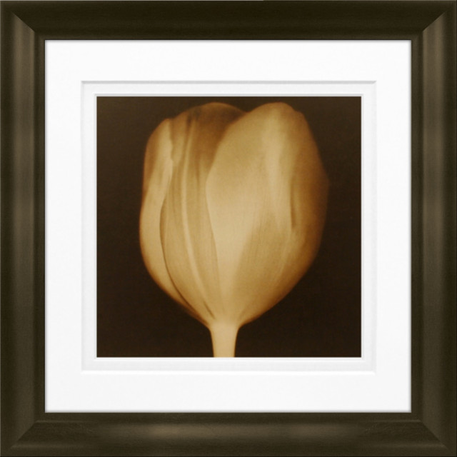 LCO DESTINY LLC 55304 Timeless Frames Marren Espresso-Framed Floral Artwork, 8in x 8in, Tulip