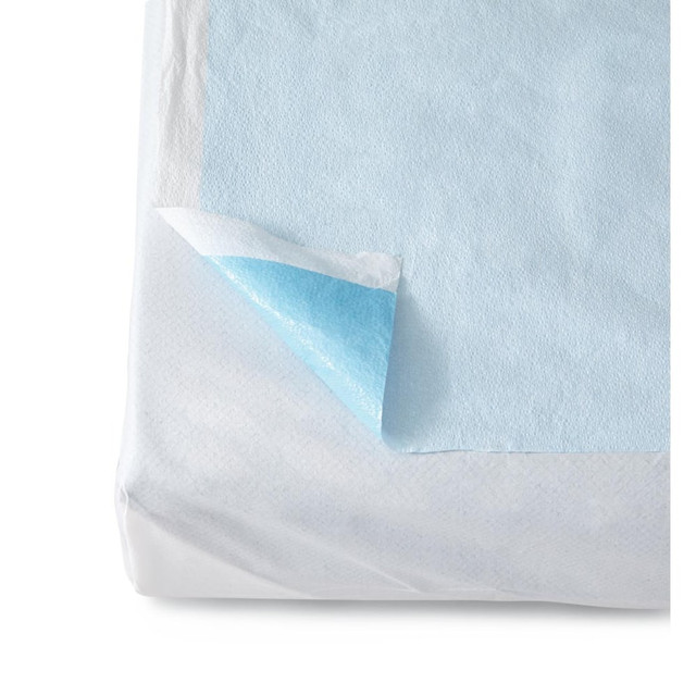 MEDLINE INDUSTRIES, INC. NON24335DUP Medline Disposable Polyethylene Flat Stretcher Sheet, 40in x 90in, Blue