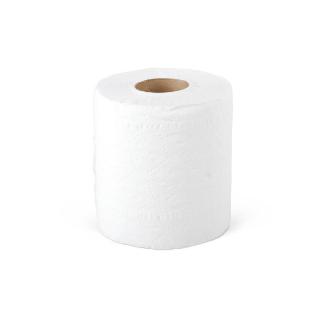 MEDLINE INDUSTRIES, INC. NON28800 Medline Green Tree Basics 2-Ply Standard Toilet Paper, 400 Sheets Per Roll, Pack Of 96 Rolls