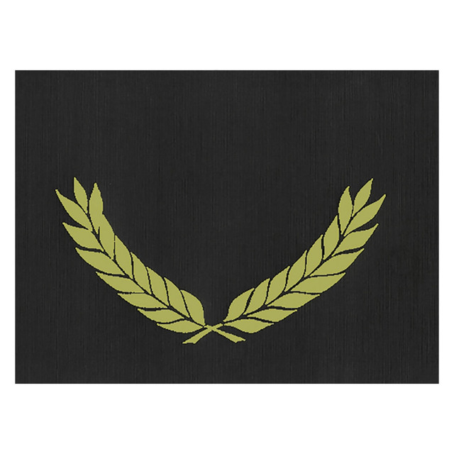 HAYES SCHOOL PUBLISHING CO.INC H-VA342 Hayes Publishing Gold Foil Stamped Black Certificate Folders, 10in x 13in, Pack Of 30