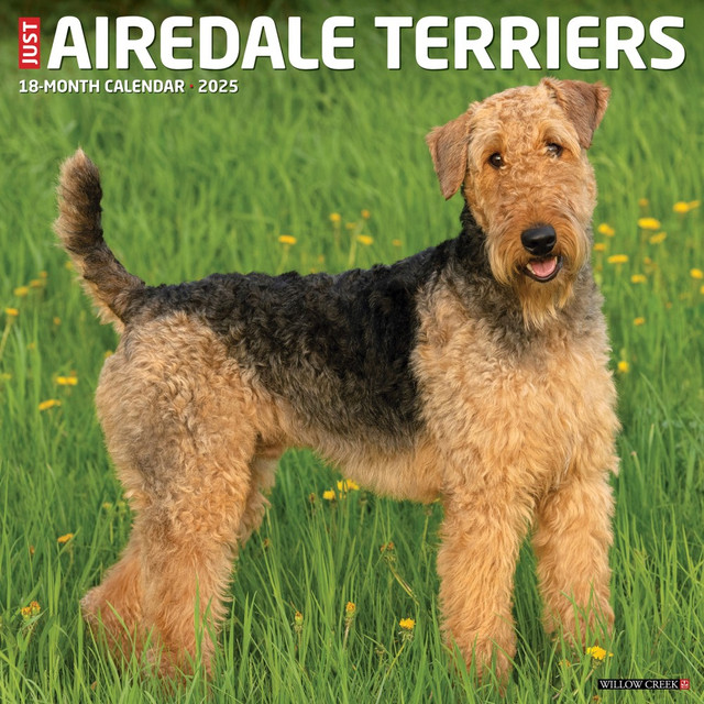 WILLOW CREEK PRESS 41253 2025 Willow Creek Press Animals Monthly Wall Calendar, 12in x 12in, Airedale Terriers, January To December, 41253 WILLOW CREEK PRESS 41253 2025 Willow Creek Press Animals Monthly Wall Calendar, 12in x 12in, Airedale Terriers, January To December, 41253