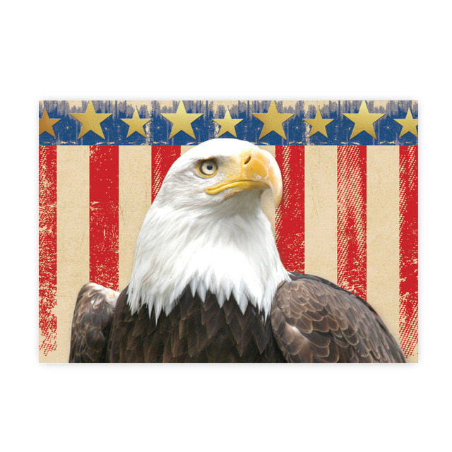 MASTERPIECE STUDIOS 2017049 Great Papers! Thank You Note Cards, 4-7/8in x 3-3/8in, Patriotic/Gold Foil, Pack Of 20 Note Cards