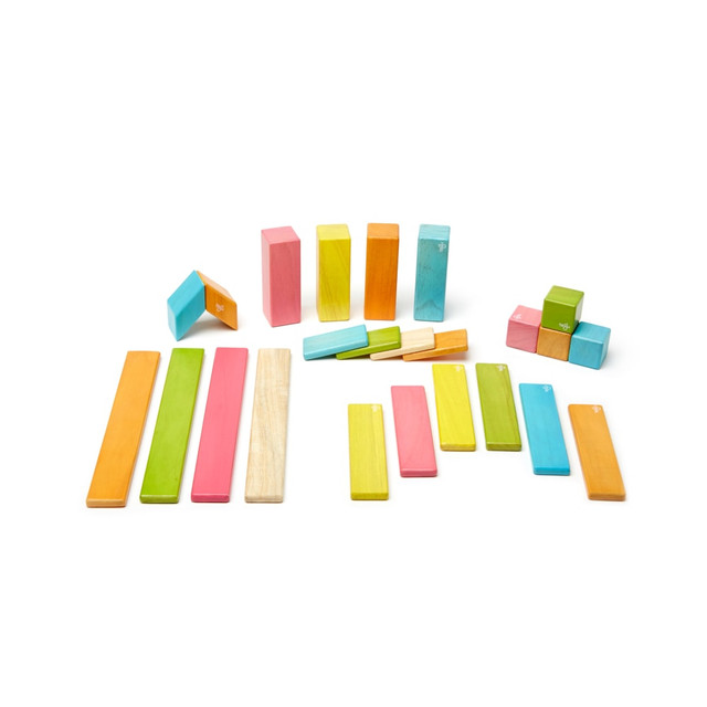 THE TEGU CORPORATION TEG24PTNT306T Tegu Magnetic Wooden Blocks, Tints, 24-Pieces THE TEGU CORPORATION TEG24PTNT306T Tegu Magnetic Wooden Blocks, Tints, 24-Pieces