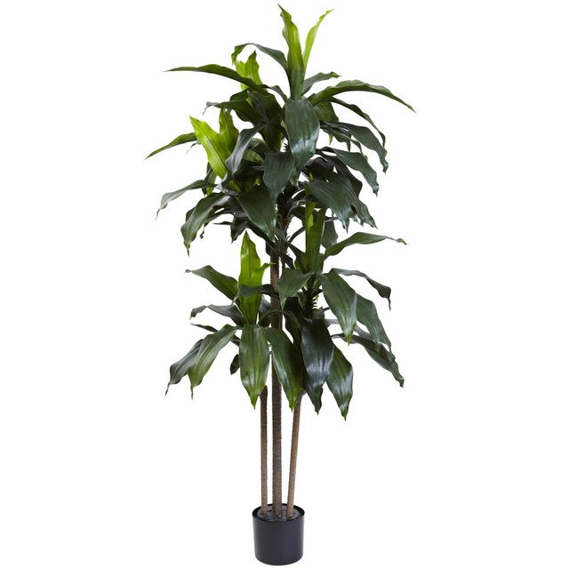NEARLY NATURAL INC. 5446 Nearly Natural Dracaena 60inH Plastic UV Resistant Indoor/Outdoor Tree With Pot, 60inH x 31inW x 27inD, Green