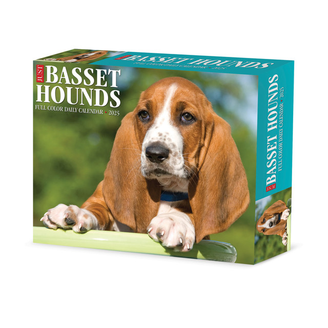 WILLOW CREEK PRESS 40645 2025 Willow Creek Press Daily Desk Box Calendar, 5-1/2in x 6-1/4in, Just Basset Hounds, January to December 2025, 40645 WILLOW CREEK PRESS 40645 2025 Willow Creek Press Daily Desk Box Calendar, 5-1/2in x 6-1/4in, Just Basset Hounds, January to December 2025, 40645