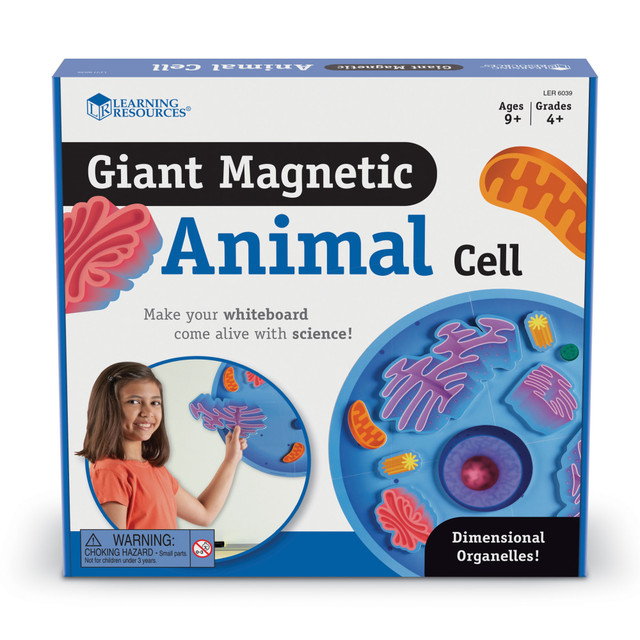 The Giant Magnetic Animal Cell is an interactive tool designed to help students visualize and understand the structures of a cell. With raised foam magnets, this 4-piece animal cell and its 14 dimensional organelles allow for easy demonstration or student manipulation. The set includes an activity guide with detailed background information about each organelle, making it perfect for hands-on learning in science classrooms.  Includes 4-piece animal cell with 14 dimensional organelles  Raised foam magnets create a 3D effect for interactive learning  Comes with an Activity Guide with organelle details and a reproducible diagram  Coordinates with foam model (LER 1900)  Great for visualizing cell structures on a whiteboard  Ideal for students in grades 4+  Developed by top educators for enhanced learning