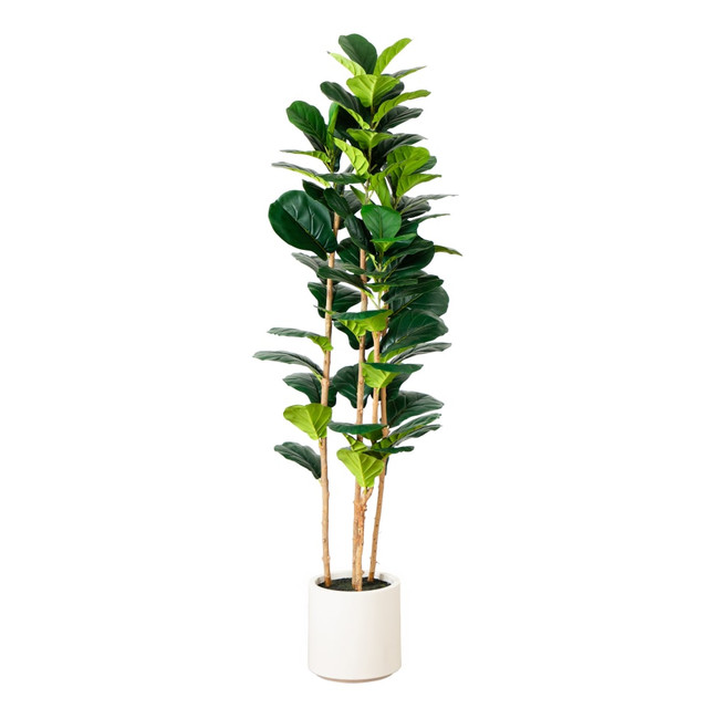 NEARLY NATURAL INC. T4776 Nearly Natural 6'H Artificial Fiddle Leaf Tree With Decorative Planter, 72inH x 21inW x 21inD, Green/White NEARLY NATURAL INC. T4776 Nearly Natural 6'H Artificial Fiddle Leaf Tree With Decorative Planter, 72inH x 21inW x 21inD, Green/White