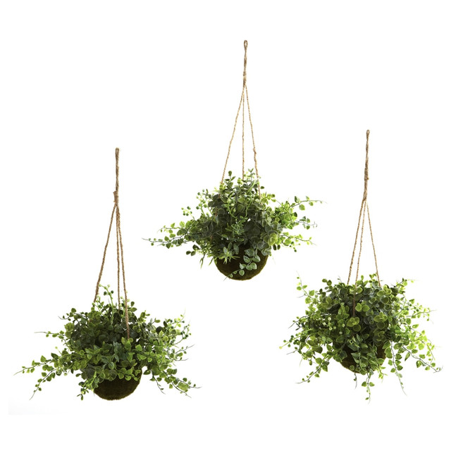 NEARLY NATURAL INC. 6741-S3 Nearly Natural Eucalyptus, Maiden Hair & Berry Artificial 9inH Plants With Hanging Baskets, 9inH x 12inW x 12inD, Green, Set Of 3
