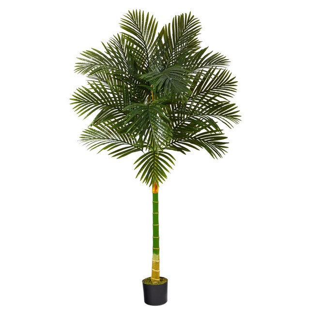 NEARLY NATURAL INC. T1839 Nearly Natural Golden Cane Palm 72inH Artificial Plant With Planter, 72inH x 22inW x 22inD, Green/Black NEARLY NATURAL INC. T1839 Nearly Natural Golden Cane Palm 72inH Artificial Plant With Planter, 72inH x 22inW x 22inD, Green/Black