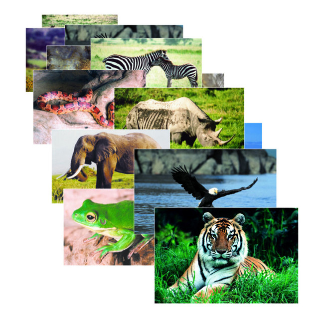Decorate your classroom or your childs bedroom with this Stages Learning Materials Wild Animals Poster Set. This poster set can help facilitate small group discussions in the classroom or encourage your childs interest in animals.  Made from heavy card stock with a durable gloss varnish.  Suitable for education settings.  Includes Lion, Tiger, Hippopotamus, Rhinoceros, Zebra, Giraffe, Elephant, Snake, Frog and Eagle posters.