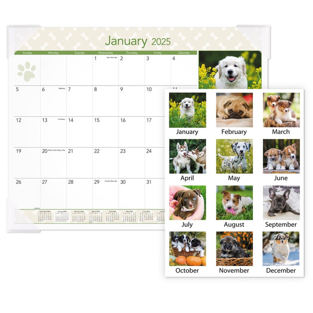 ACCO BRANDS USA, LLC DMD1663225 2025 AT-A-GLANCE Puppies Monthly Desk Pad, 21-3/4in x 17in, Animals, January 2025 To December 2025, DMD16632