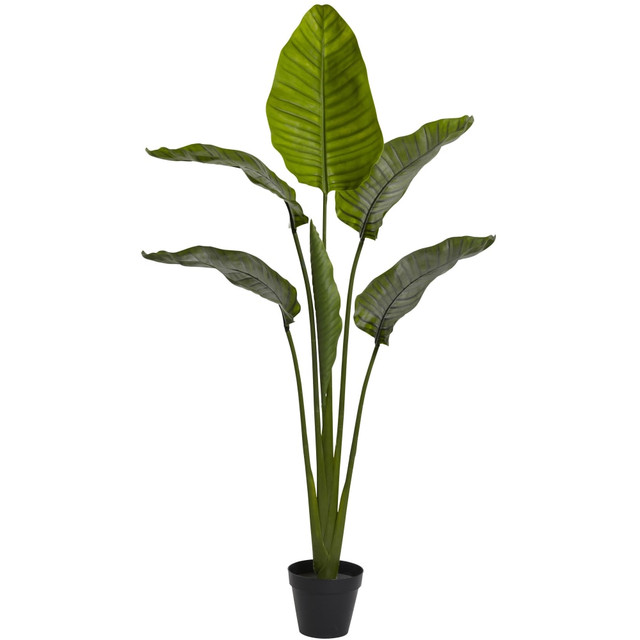 NEARLY NATURAL INC. 5445 Nearly Natural Travelers Palm 60inH Plastic UV Resistant Indoor/Outdoor Tree, 60inH x 36inW x 12inD, Green NEARLY NATURAL INC. 5445 Nearly Natural Travelers Palm 60inH Plastic UV Resistant Indoor/Outdoor Tree, 60inH x 36inW x 12inD, Green