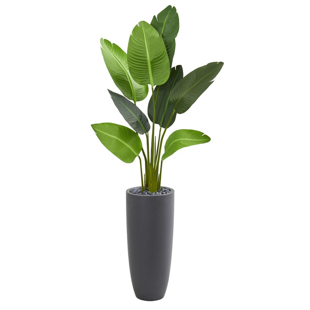 NEARLY NATURAL INC. 5686 Nearly Natural Travelers Palm 66inH Artificial Tree With Cylinder Planter, 66inH x 28inW x 22inD, Green