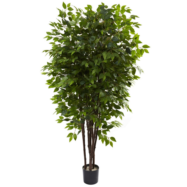 NEARLY NATURAL INC. 5402 Nearly Natural Ficus 78inH Plastic Deluxe Tree With Pot, 78inH x 48inW x 48inD, Green NEARLY NATURAL INC. 5402 Nearly Natural Ficus 78inH Plastic Deluxe Tree With Pot, 78inH x 48inW x 48inD, Green