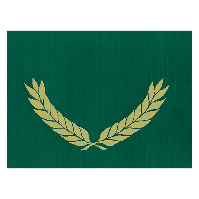 HAYES SCHOOL PUBLISHING CO.INC H-VA341 Hayes Publishing Gold Foil Stamped Green Certificate Folders, 10in x 13in, Pack Of 30