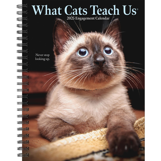 WILLOW CREEK PRESS 46173 2025 Willow Creek Press Weekly Engagement Planner, 6-1/2in x 8-1/2in, What Cats Teach Us, January 2025 to December 2025, 46173