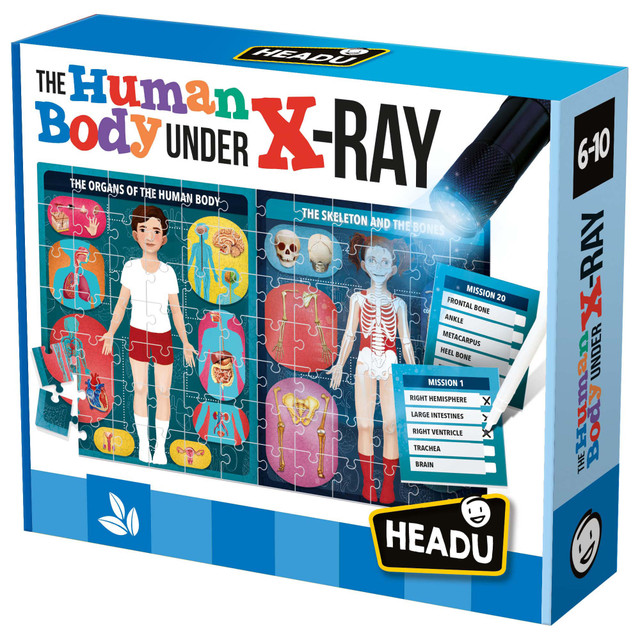 HEADU USA LLC HDUEN22762 Headu The Human Body Under X-Ray