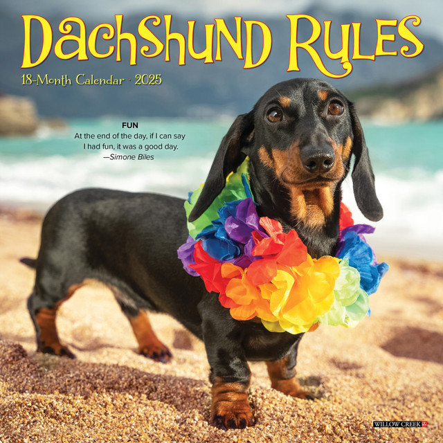 WILLOW CREEK PRESS 45749 2025 Willow Creek Press Mini Wall Calendar, 7in x 7in, Dachshund, January 2025 To December 2025, 45749 WILLOW CREEK PRESS 45749 2025 Willow Creek Press Mini Wall Calendar, 7in x 7in, Dachshund, January 2025 To December 2025, 45749