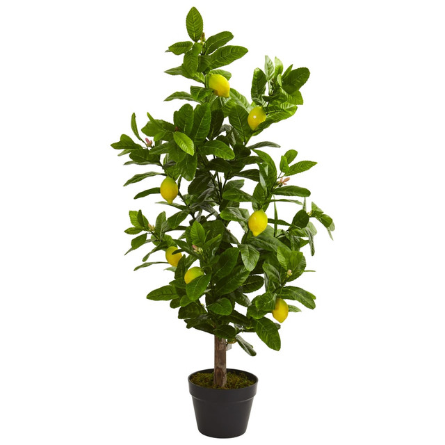 NEARLY NATURAL INC. 5581 Nearly Natural Lemon 36inH Artificial Tree With Pot, 36inH x 12inW x 12inD, Green NEARLY NATURAL INC. 5581 Nearly Natural Lemon 36inH Artificial Tree With Pot, 36inH x 12inW x 12inD, Green