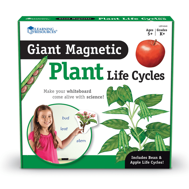 This jumbo magnet set helps students visually explore the life cycle of plants with realistic illustrations. Designed for use on the whiteboard, the set models up to 6 stages in the life cycle of a bean and an apple. The label-free pieces offer versatile use, making it perfect for interactive lessons.  Realistically detailed jumbo magnets  Help students visually explore the life cycle of plants  Model the life cycle of a bean and apple on the whiteboard  Includes 12 write-and-wipe pieces and activity guide  Ideal for ages 5+  Largest piece measures 9inH x 7inL