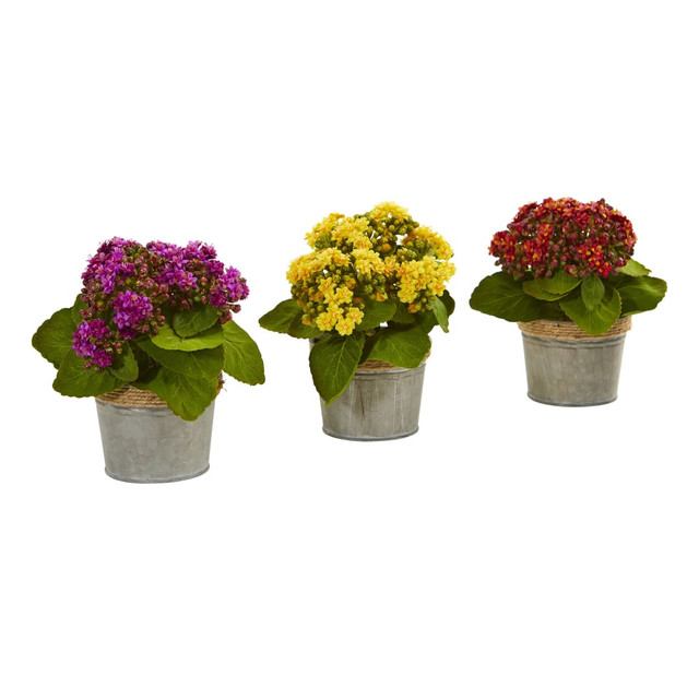 NEARLY NATURAL INC. 4244-S3 Nearly Natural Kalanchoe 9inH Artificial Floral Arrangements With Pot, 9inH x 8inW x 8inD, Multicolor, Set Of 3