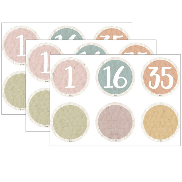 Add flair to any magnetically receptive surface such as doors, desks, shelving and bins.  Decorate and educate with durable, reusable magnetic pieces.  Measures 2-1/4in.  Each pack includes 42 total pieces: 1-35 plus 7 blank pieces.  Sold as 3 packs for a total of 126 pieces.