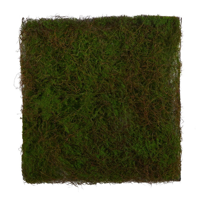 NEARLY NATURAL INC. P1519 Nearly Natural Moss Mat 20inH Artificial Plant, 20inH x 20inW x 1inD, Green NEARLY NATURAL INC. P1519 Nearly Natural Moss Mat 20inH Artificial Plant, 20inH x 20inW x 1inD, Green
