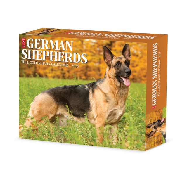 WILLOW CREEK PRESS 40843 2025 Willow Creek Press Daily Desk Box Calendar, Animals, 5-1/2in x 6-1/4in, German Shepherds, January To December, 40843
