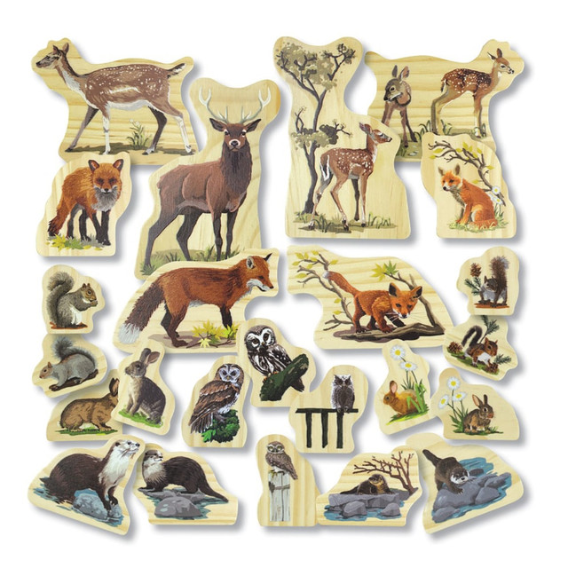 This exquisitely illustrated set of 12 double-sided animals is a wonderful way to nurture understanding of our natural world and will inspire children to learn more about it.  Members of each family face each other for extra play value.  This also works across families, increasing opportunities for imaginary play and the development of storytelling skills.  The flat bases allow the animals to be used in an upright position to better facilitate such play.  One side of each piece depicts a male/female adult, with each reverse showing a related baby in a different pose, enabling children to sort and compare the animals based on their attributes.  This can be enhanced by studying the artwork with a magnifier.  There are also clues to the habitats of the animals, providing a stimulus for discussion and the sharing of ideas.  The set is divided in to six families: divided in to six families: deer, fox, otter, owl, rabbit, and squirrel.  Size 1-3/4in - 4-3/4in.