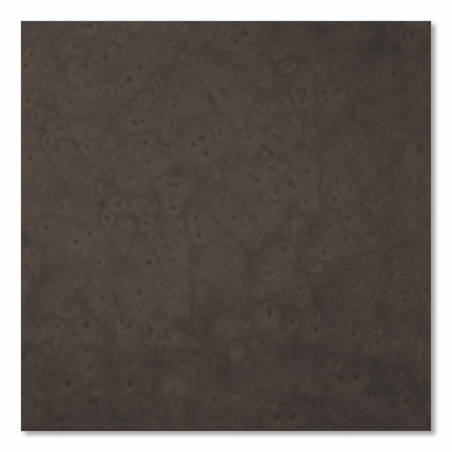 RUST-OLEUM CORPORATION 245218EA Universal Premium Spray Paint, Hammer Brown, 12 oz Aerosol Can