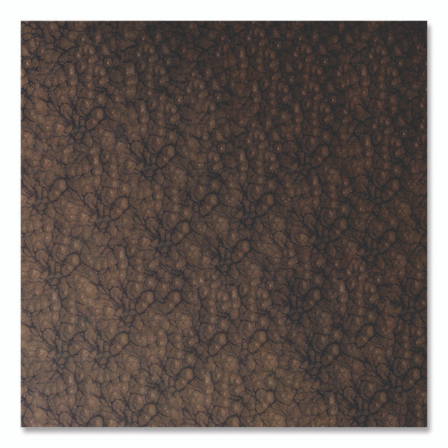 RUST-OLEUM CORPORATION 271480EA Universal Premium Spray Paint, Hammer Amber, 12 oz Aerosol Can