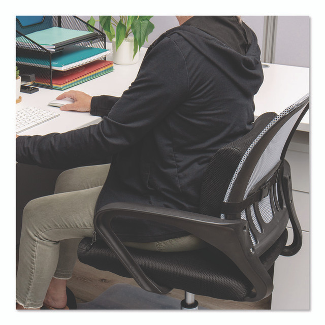 EMS MIND READER LLC BACKFOAMBLK Memory Foam Ergonomic Lumbar Support Chair Cushion, 4 x 13.5 x 12.25, Black
