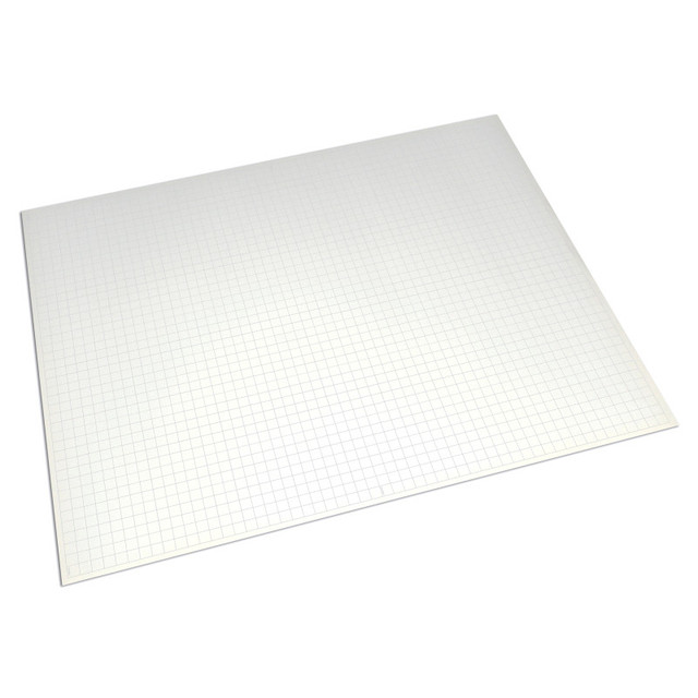 DIXON TICONDEROGA CO Ghostline® Foam Board, White, 22" x 28", 5 Sheets