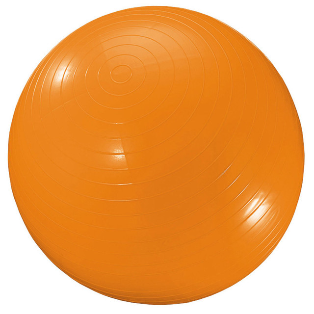 DICK MARTIN SPORTS Martin Sports Exercise Ball, 34", Orange