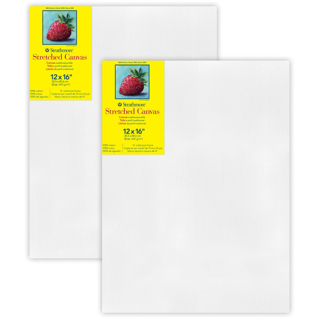 DIXON FINE ART Strathmore 300 Series Traditional Stretched Canvas, 12x16 inch, Pack of 2