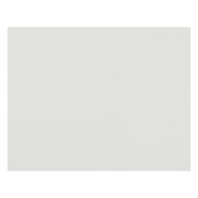 DIXON TICONDEROGA CO Pacon® 4-Ply Railroad Board, White, 22" x 28", Pack of 50