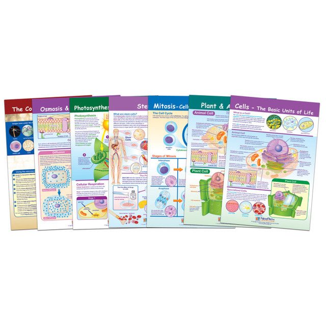 NEWPATH LEARNING NewPath Learning Cells Bulletin Board Chart Set, Grades 3-5