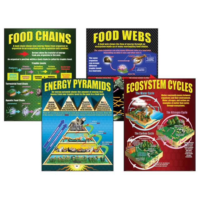 TEACHER CREATED RESOURCES McDonald Publishing Ecosystems Posters, Set of 4