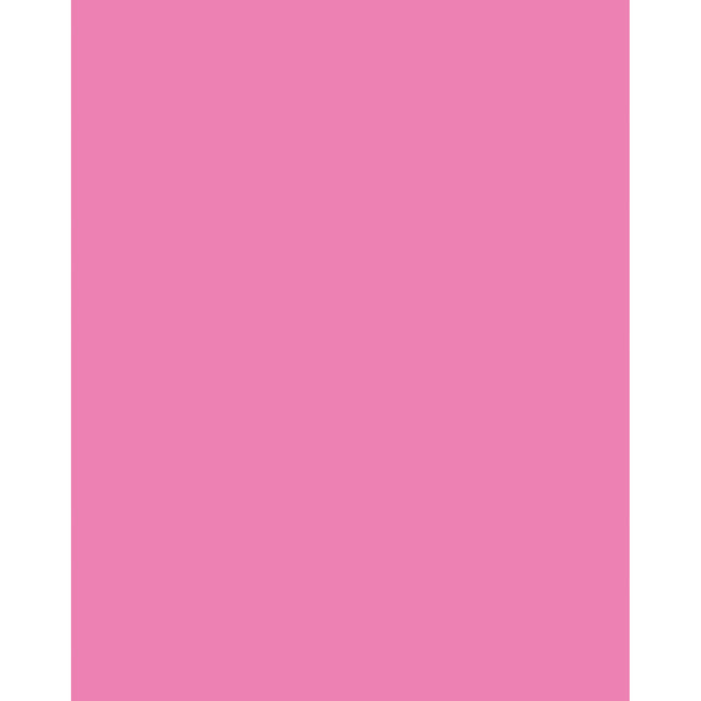 DIXON TICONDEROGA CO UCreate® Neon Coated Poster Board, Neon Pink, 22" x 28", 25 Sheets