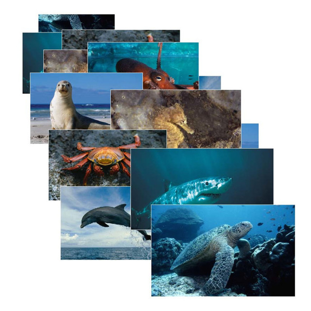 STAGES LEARNING MATERIALS Stages Learning Materials Sea Life Poster Set, Set of 14