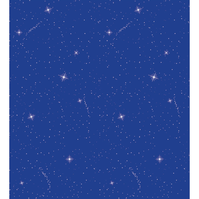 DIXON TICONDEROGA CO Fadeless® Bulletin Board Art Paper, Night Sky, 48" x 12', 4 Rolls