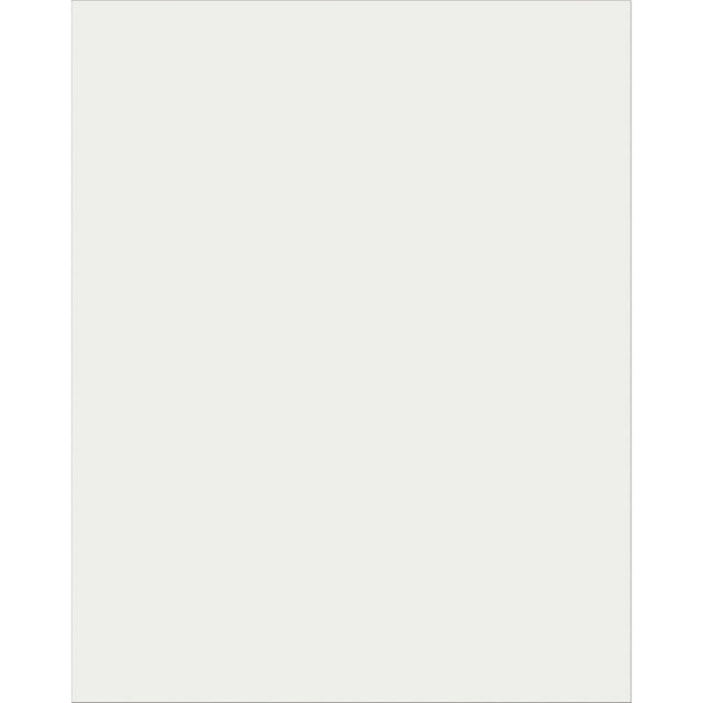 DIXON TICONDEROGA CO UCreate® Plastic Poster Board, Clear, 22" x 28", 25 Sheets