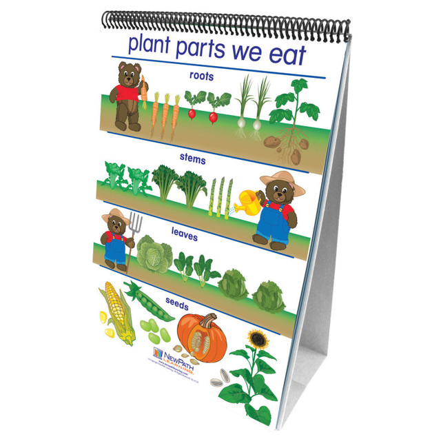 NEWPATH LEARNING NewPath Learning Early Childhood Science Readiness Flip Charts, All About Plants