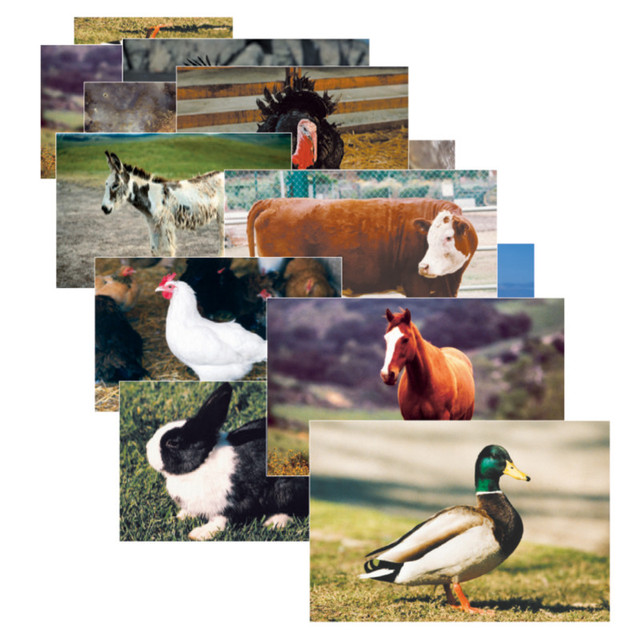 STAGES LEARNING MATERIALS Stages Learning Materials Farm Animal Real Life Learning Poster Set, Set of 10