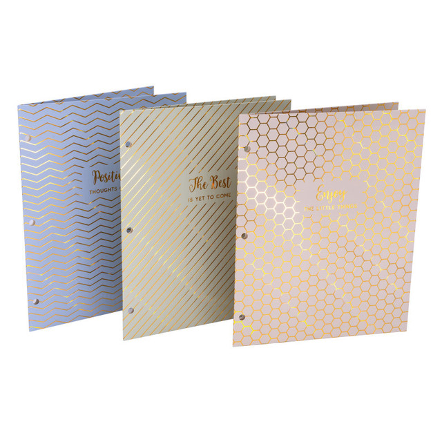 PUKKA PADS USA CORP Pukka Pads Haze 2-Pocket Portfolio, Letter Size, Assorted Colors, Pack of 6