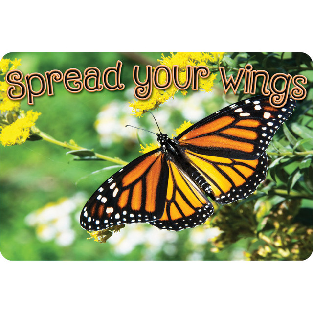 ASHLEY PRODUCTIONS Ashley Productions® The Original Fun Mat™, Welcome Mat, 15.5" x 23.5", Spread Your Wings Butterfly Welcome