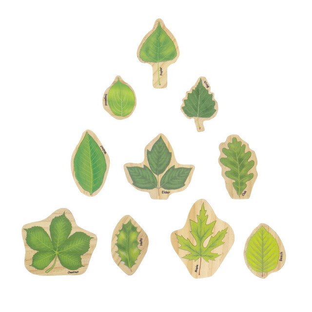 LEARNING ADVANTAGE The Freckled Frog Stacking Leaves