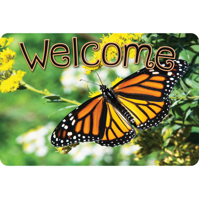 ASHLEY PRODUCTIONS Ashley Productions® The Original Fun Mat™, Welcome Mat, 15.5" x 23.5", Butterfly Welcome