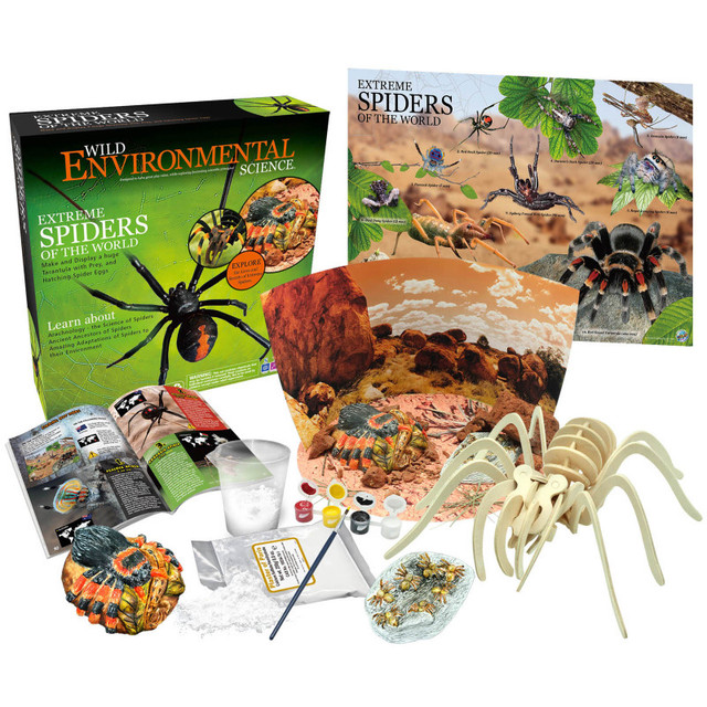 LEARNING ADVANTAGE WILD ENVIRONMENTAL SCIENCE Extreme Spiders of the World - For Ages 6+ - Create and Customize Models and Dioramas - Study the Most Extreme Animals