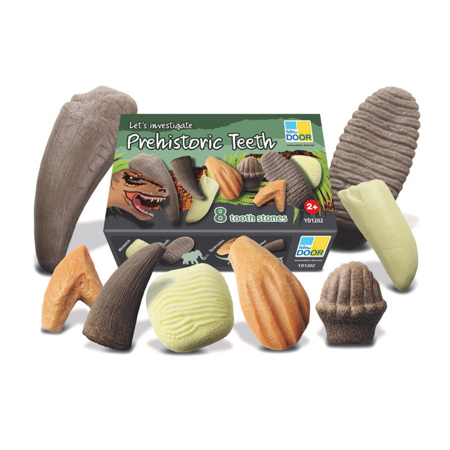 YELLOW DOOR US LLC Yellow Door Let's Investigate – Prehistoric Teeth, Set of 8